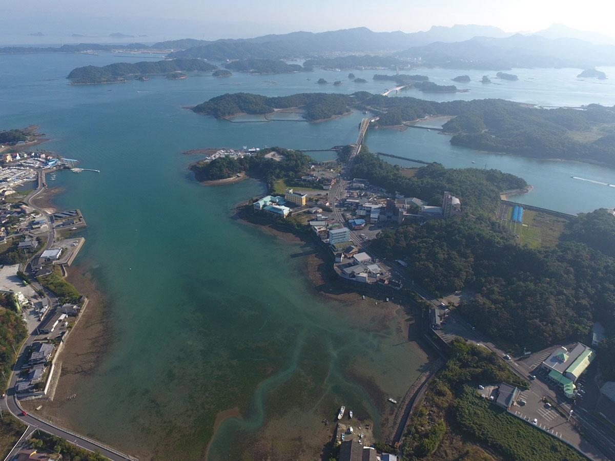 ビジネスホテル 天草 上天草市 エクステリア 写真